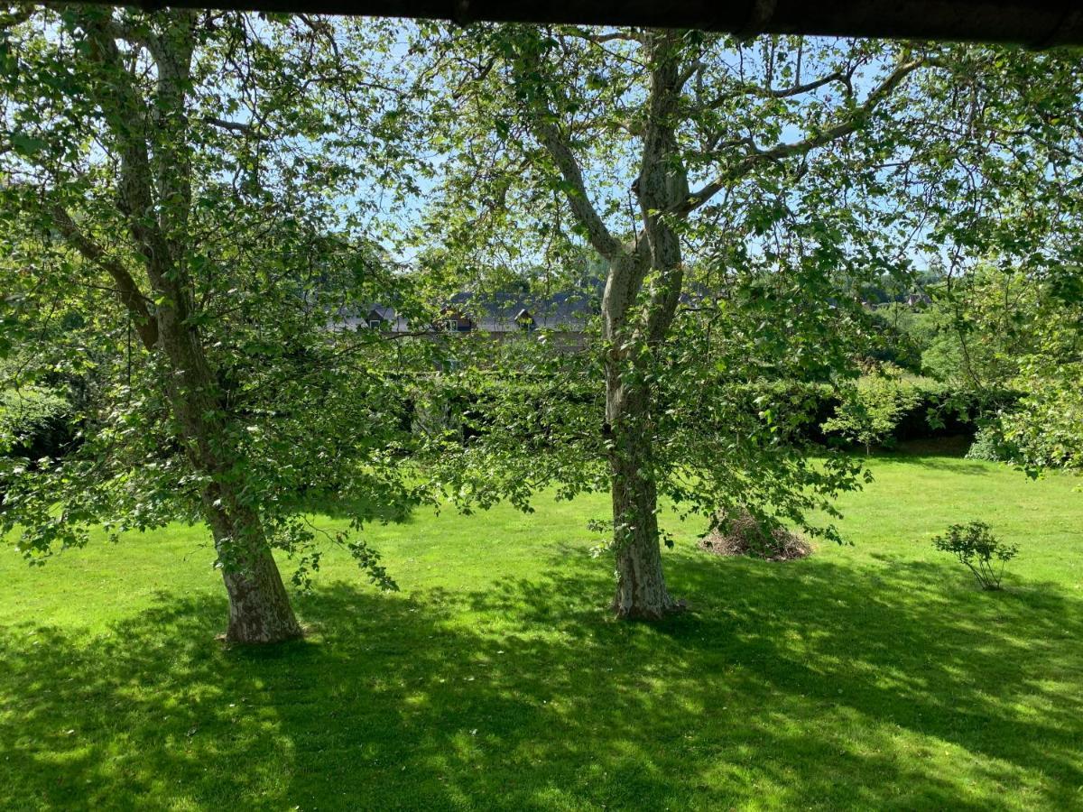 Saint-Aubin-sur-Scie La Grange Bed & Breakfast エクステリア 写真