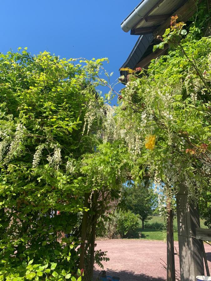 Saint-Aubin-sur-Scie La Grange Bed & Breakfast エクステリア 写真